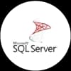 Microsoft sql server icon
